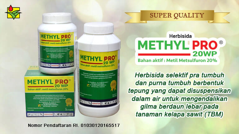 Methyl Pro® 20 WP